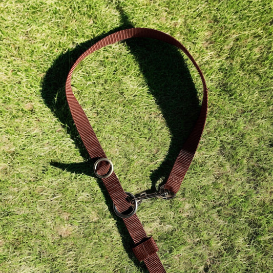 woove Minimal-Dog-Slipline aus Gurtband mit Karabiner & Edelstahl-Hardware / Hundeleine - WOOVE