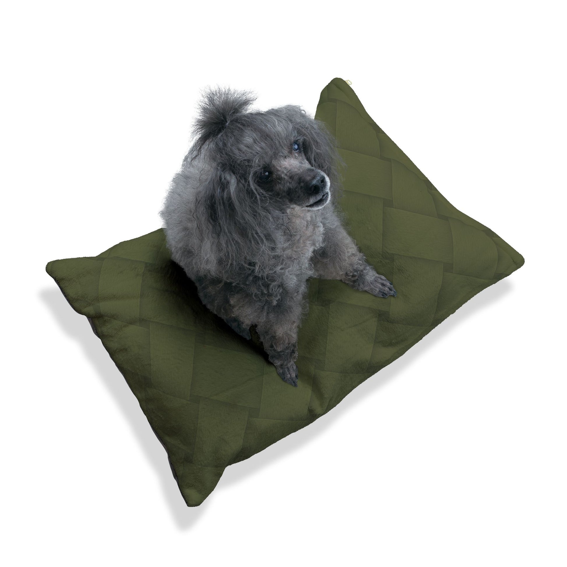 Cozy Pet Bed - Heimtierbett Brainded Pattern Olive (S/M/L) - WOOVE