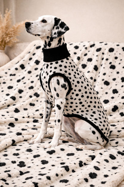 Sherpa Decke Dalmatina