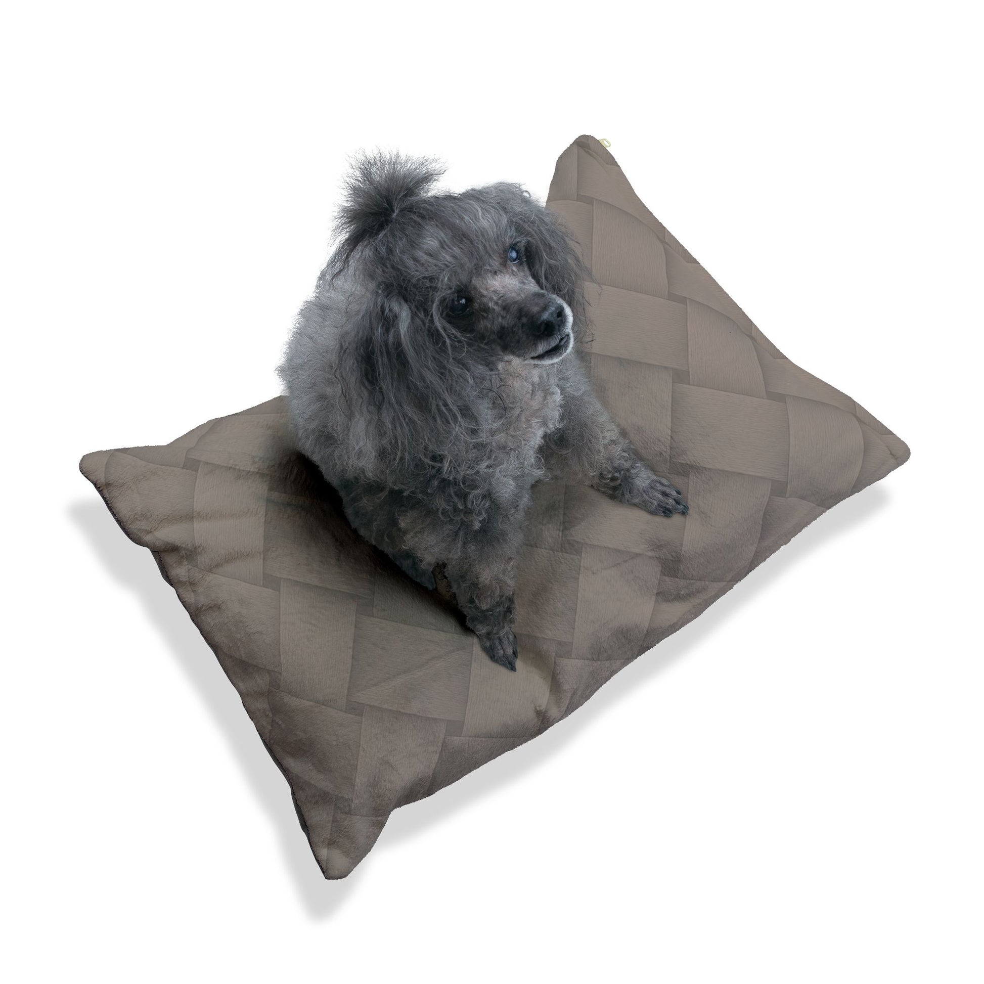 Cozy Pet Bed - Heimtierbett  Brainded Pattern Taupe (S/M/L) - WOOVE