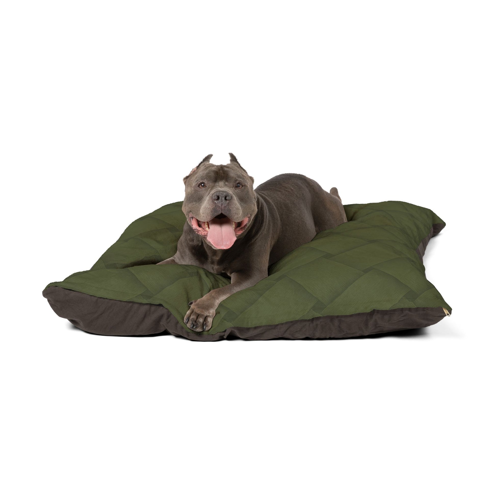 Cozy Pet Bed - Heimtierbett Brainded Pattern Olive (S/M/L) - WOOVE