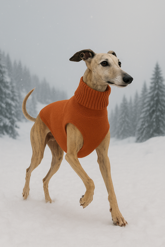 Hunde Strickpulli - Orange / gestrickt, OEKO-TEX®