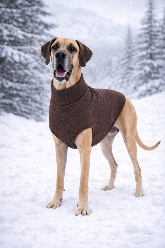 Hunde Strickpulli - Dunkelbraun / gestrickt, OEKO-TEX®