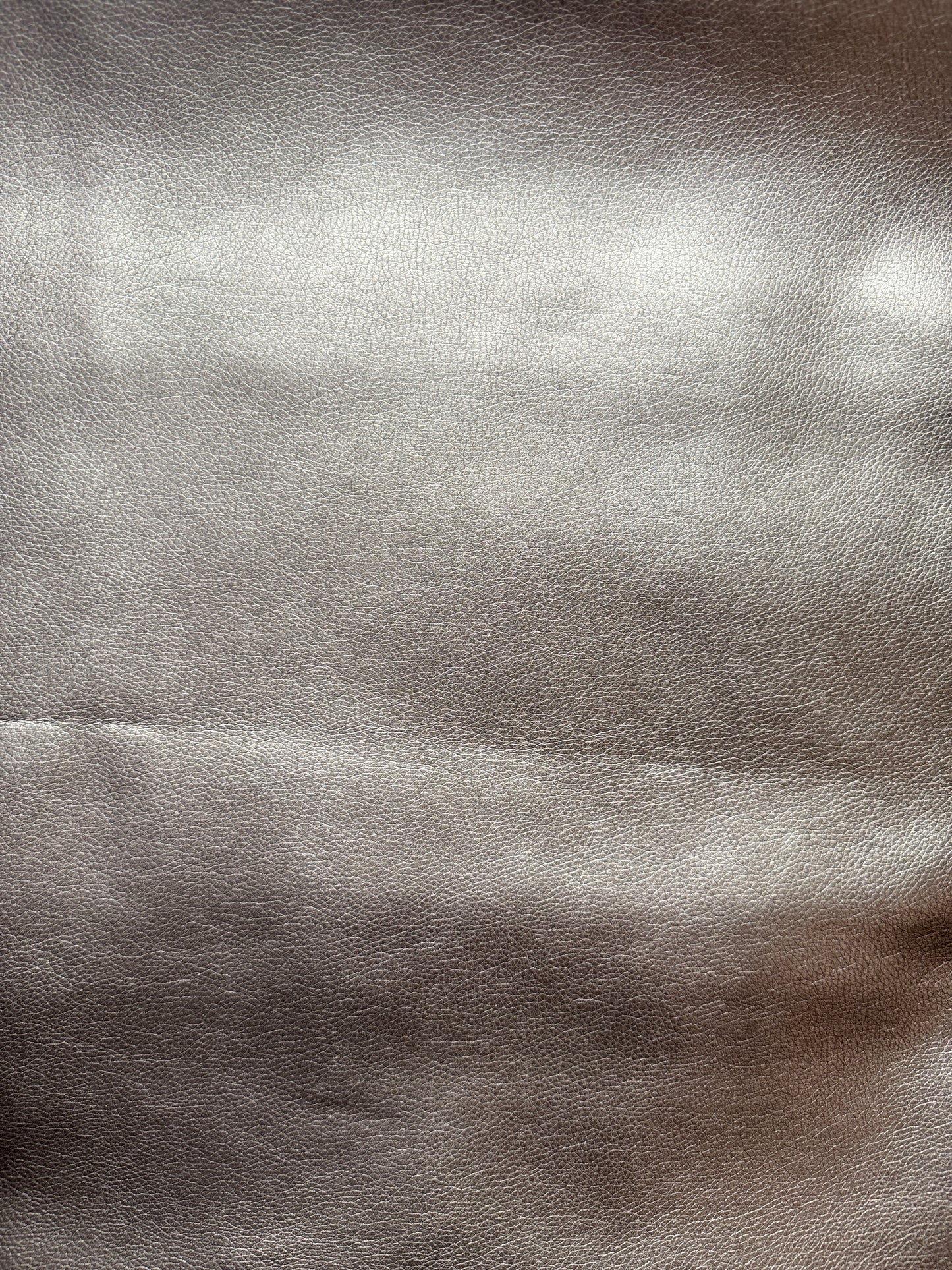 Metallic Dog Autumn-Coat - Luxury Edition - WOOVE